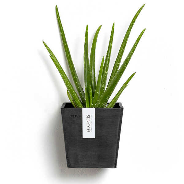 Manhattan Wall Planter Colour Dark Grey